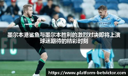 墨尔本港鲨鱼与墨尔本胜利的激烈对决即将上演球迷期待的精彩时刻