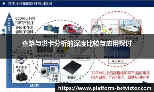 查路与洪卡分析的深度比较与应用探讨