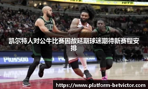 凯尔特人对公牛比赛因故延期球迷期待新赛程安排